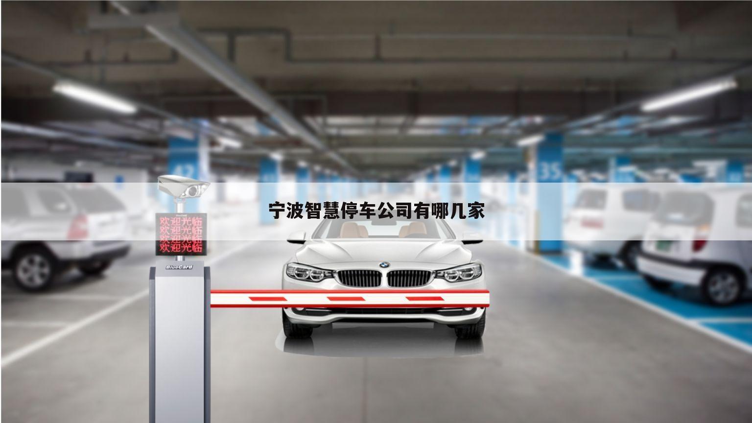 宁波智慧停车公司有哪几家