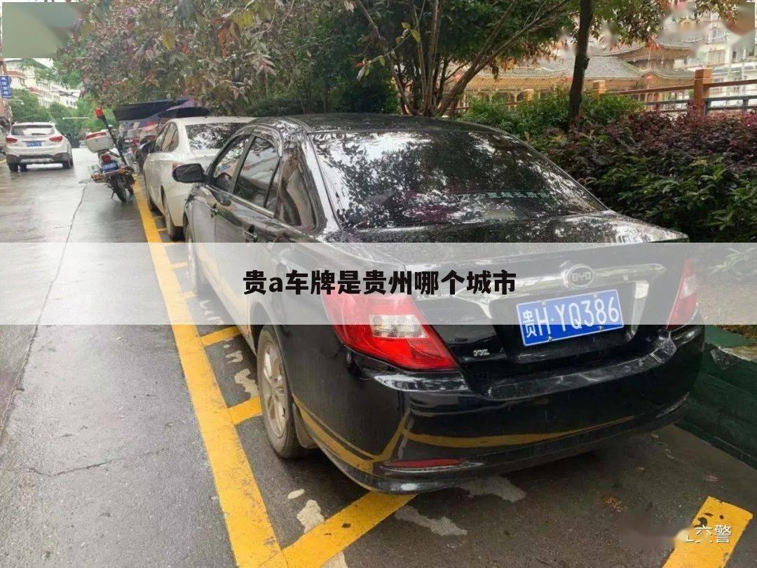 贵a车牌是贵州哪个城市