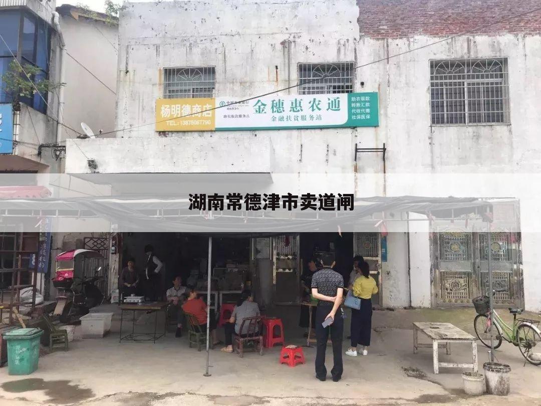 湖南常德津市卖道闸