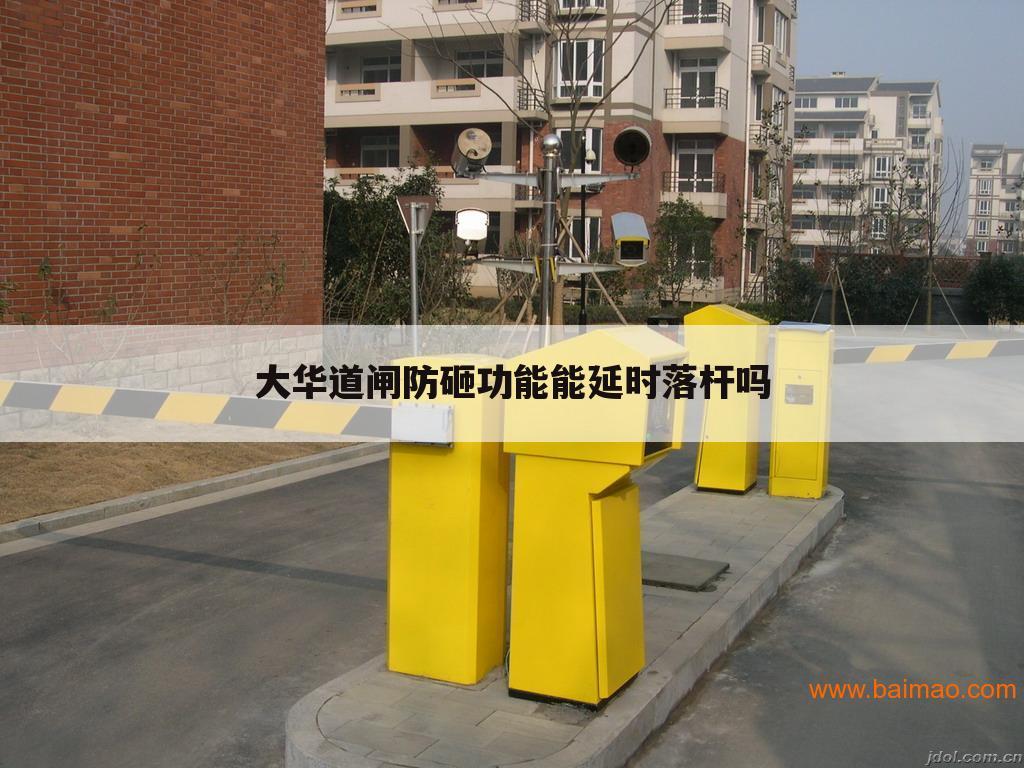 大华道闸防砸功能能延时落杆吗
