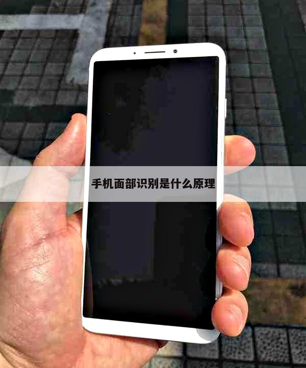 手机面部识别是什么原理