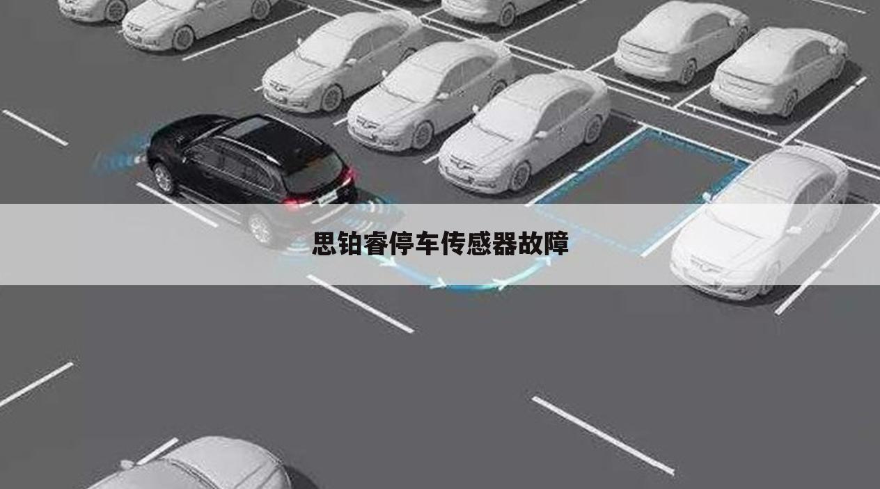 思铂睿停车传感器故障