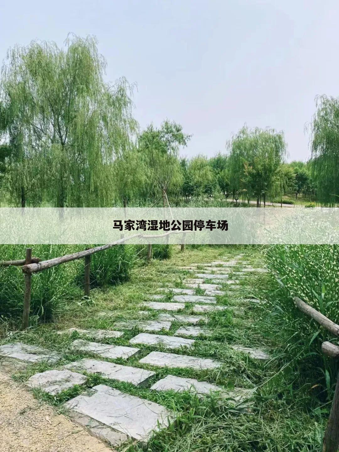 马家湾湿地公园停车场