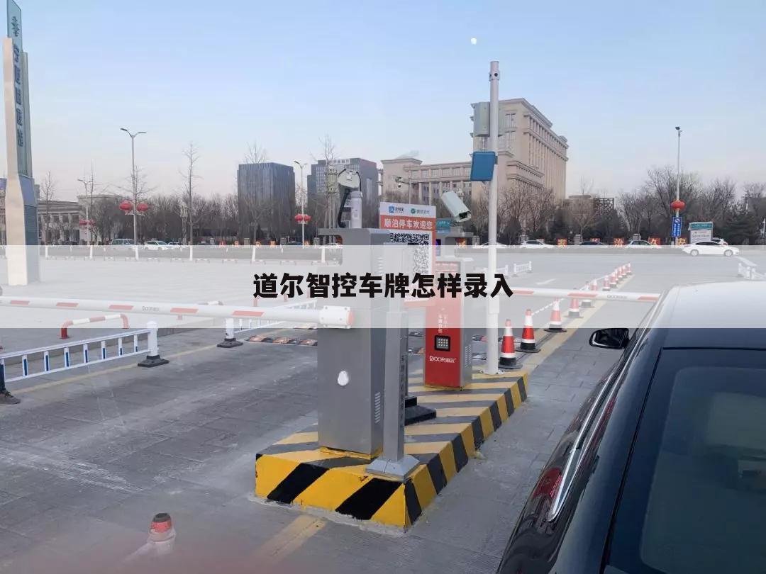 道尔智控车牌怎样录入