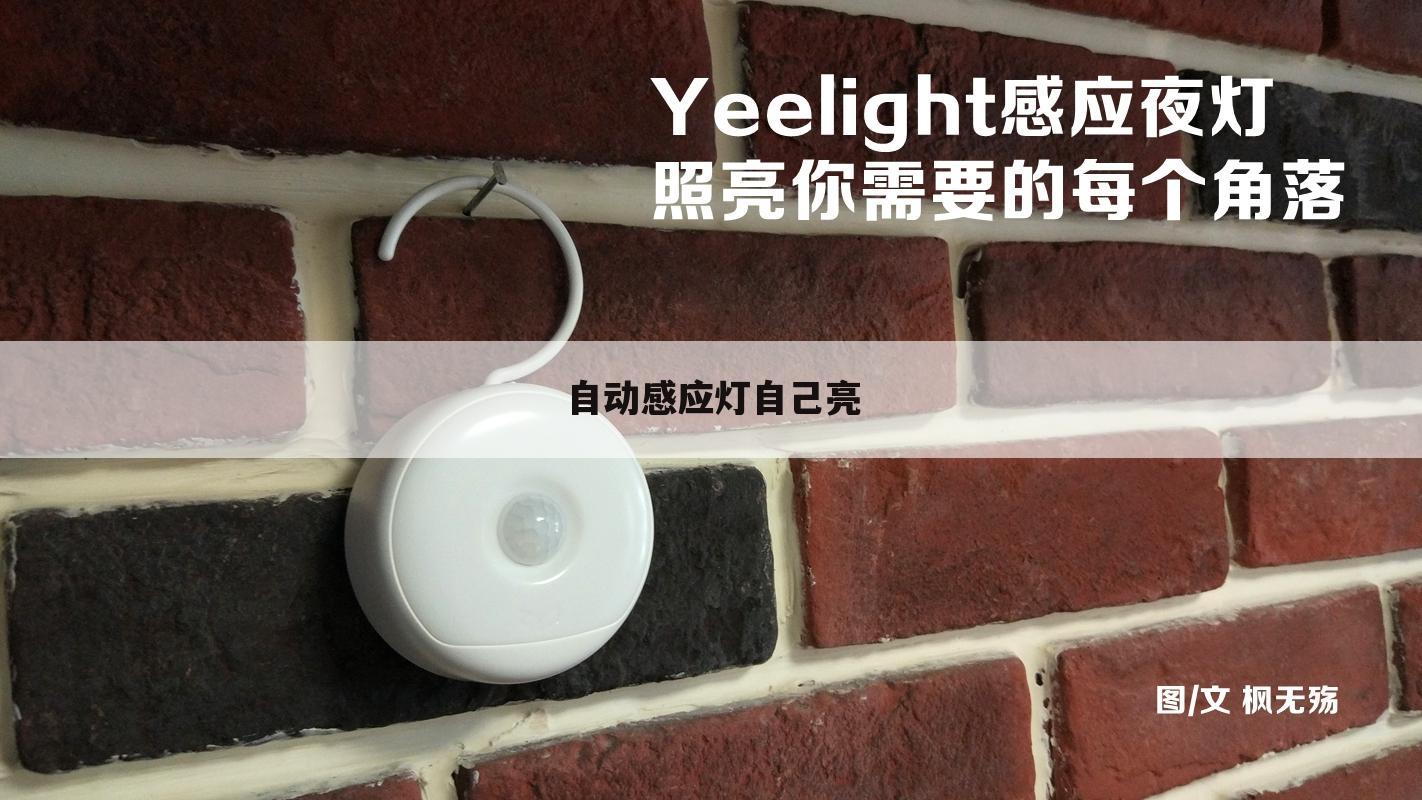 自动感应灯自己亮
