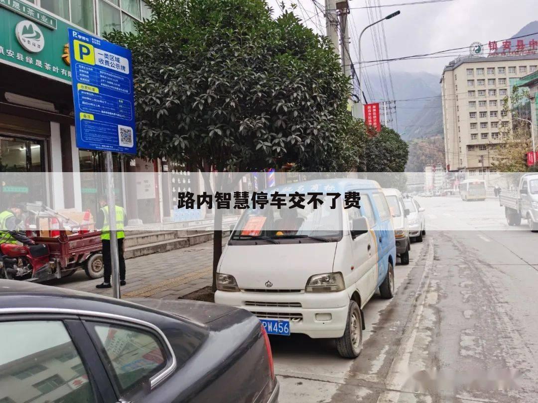 路内智慧停车交不了费
