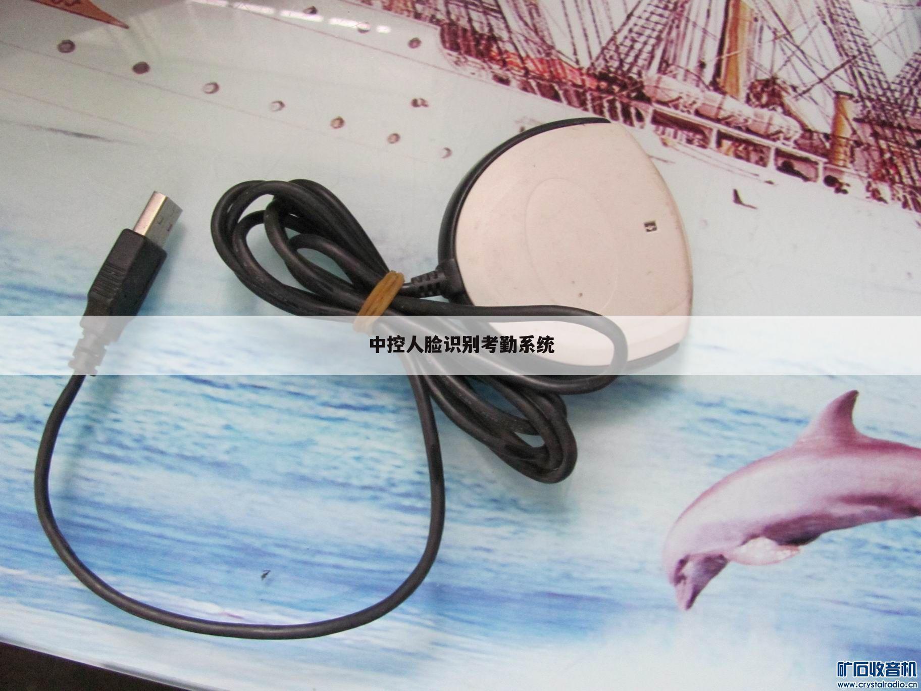 中控人脸识别考勤系统