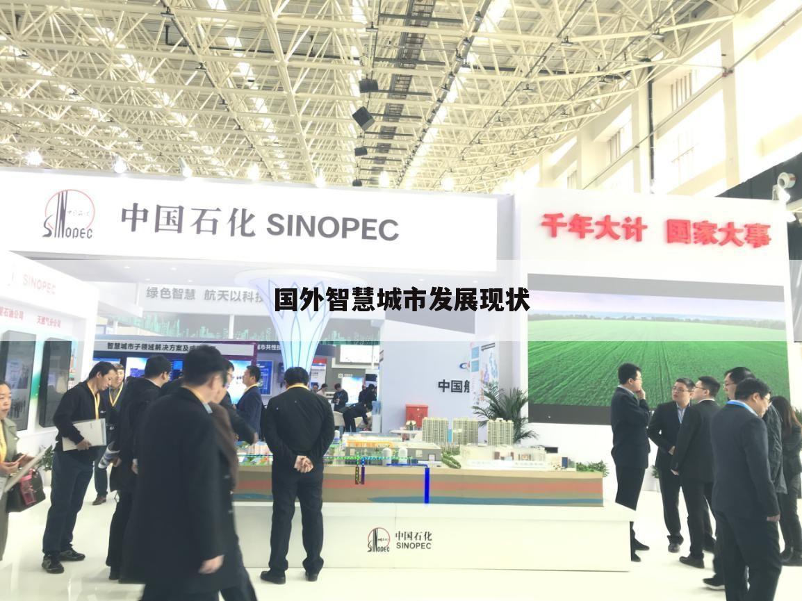 国外智慧城市发展现状