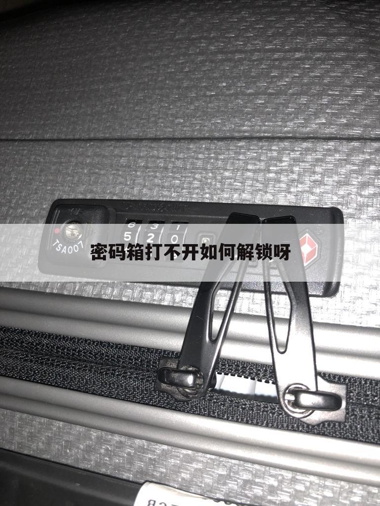 密码箱打不开如何解锁呀
