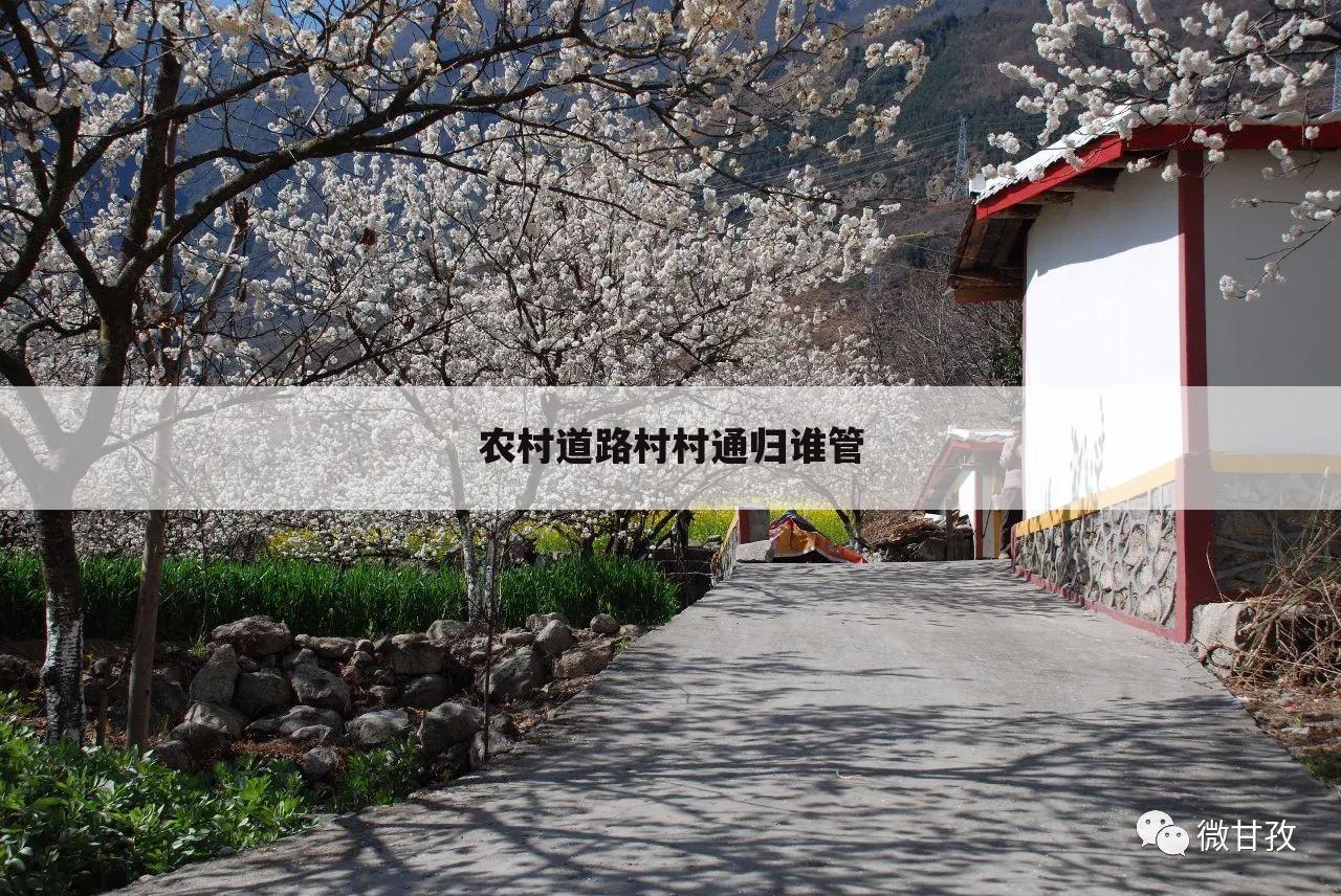 农村道路村村通归谁管