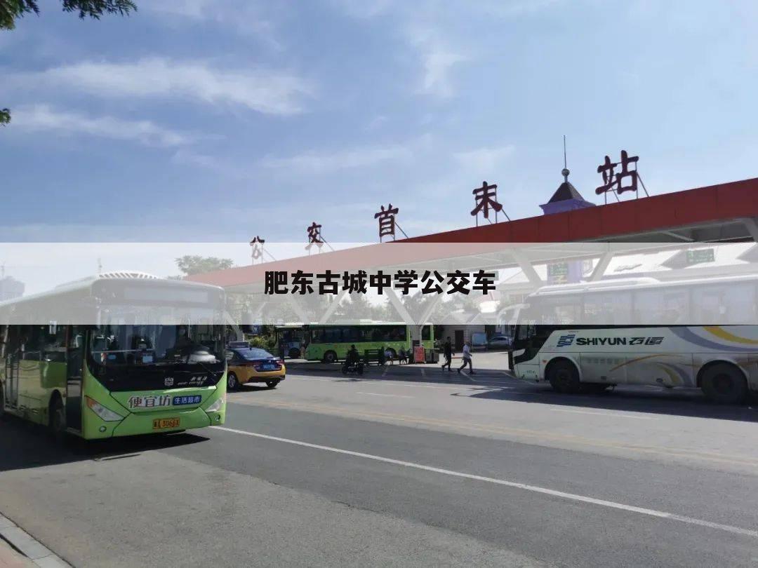 肥东古城中学公交车
