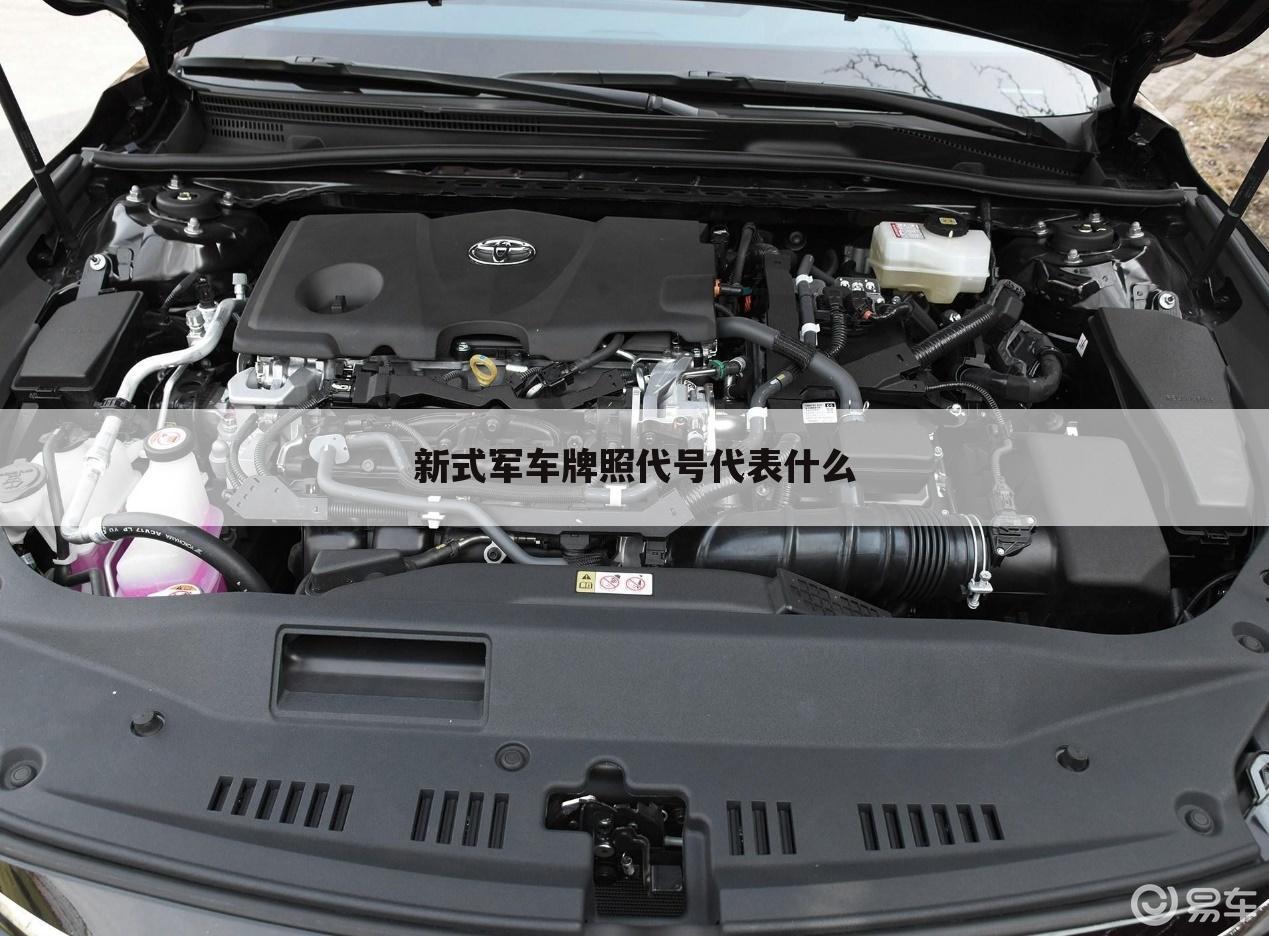 新式军车牌照代号代表什么