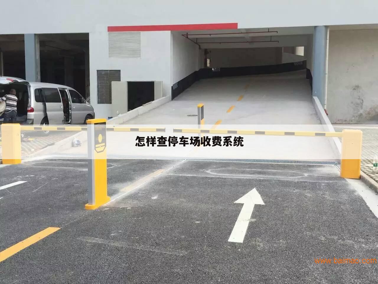 怎样查停车场收费系统
