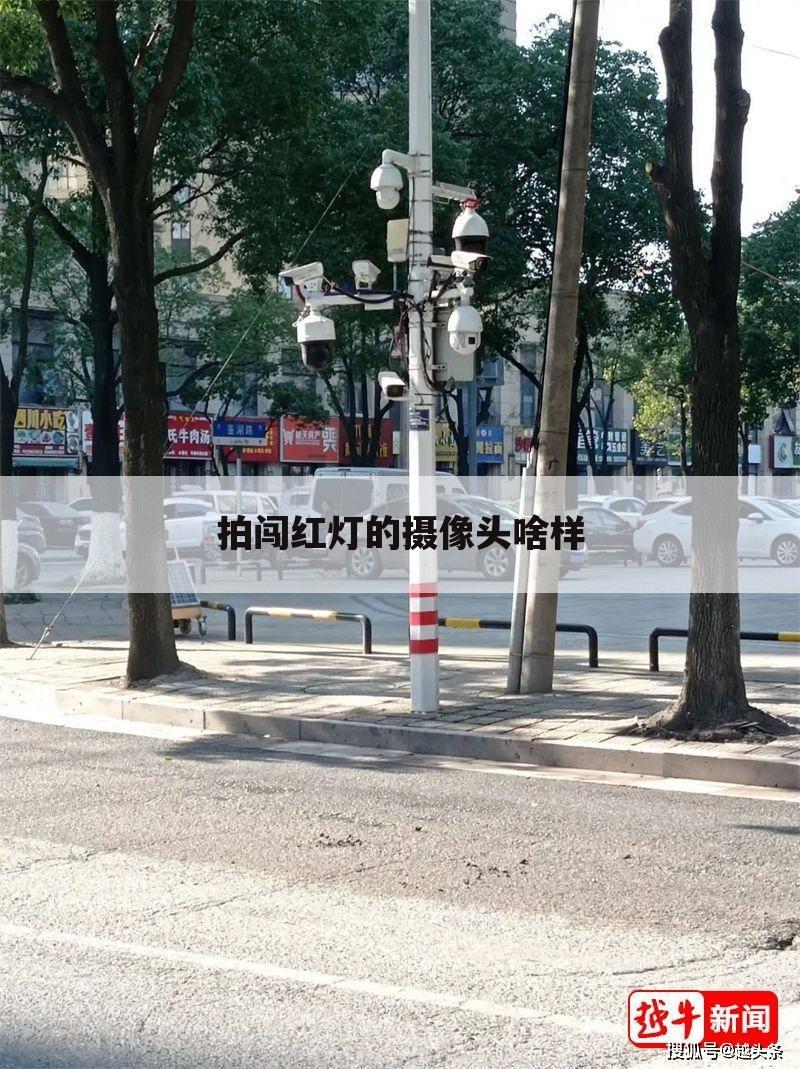 拍闯红灯的摄像头啥样