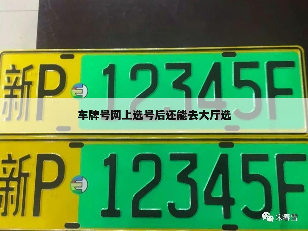 车牌号网上选号后还能去大厅选