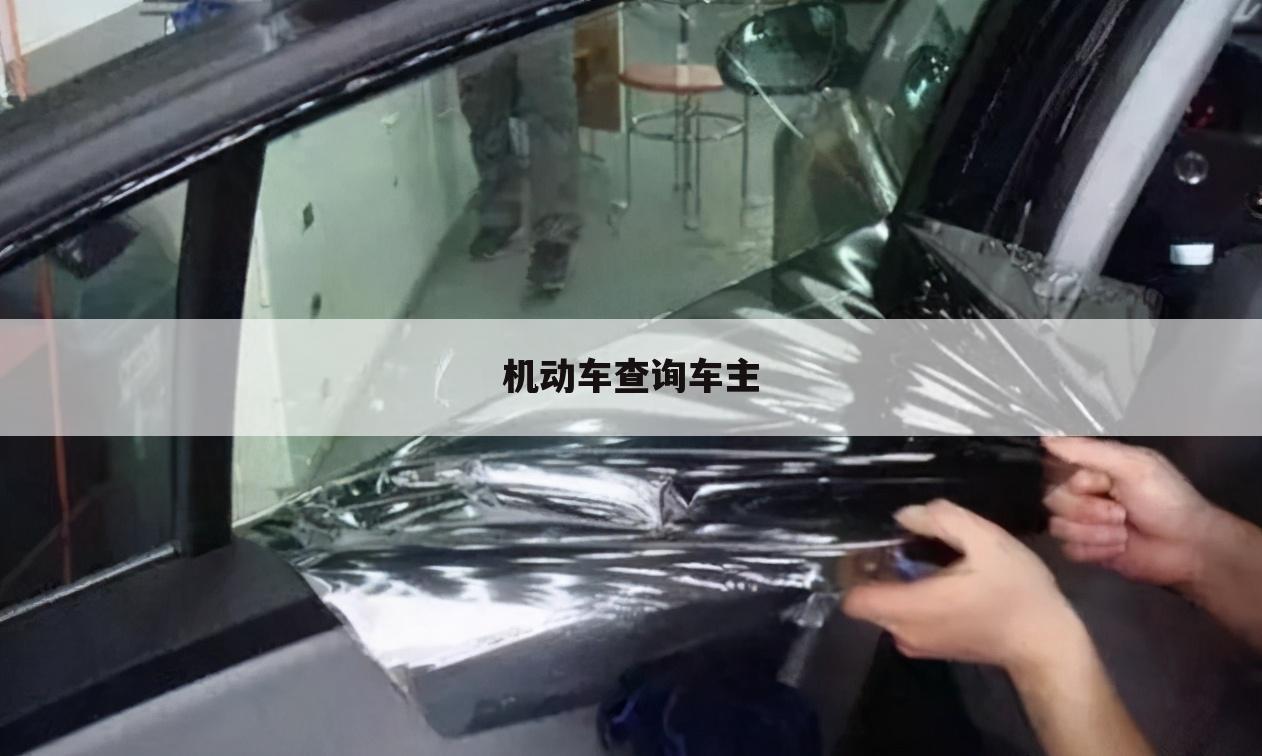 机动车查询车主