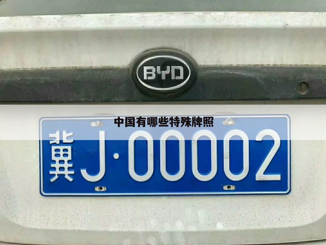 中国有哪些特殊牌照