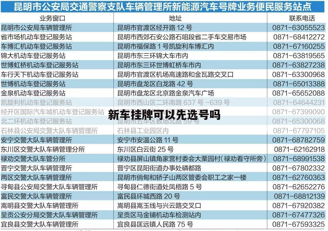 新车挂牌可以先选号吗