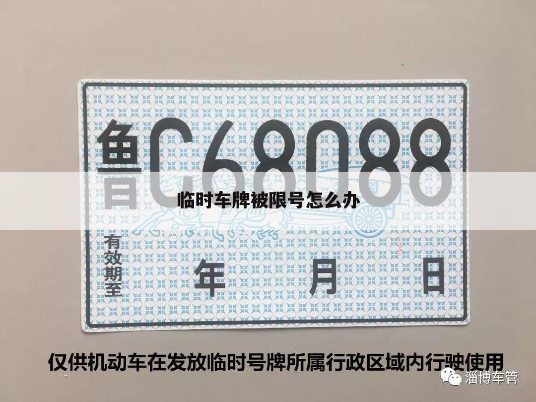 临时车牌被限号怎么办