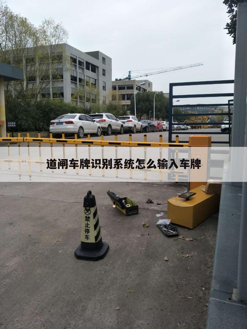道闸车牌识别系统怎么输入车牌