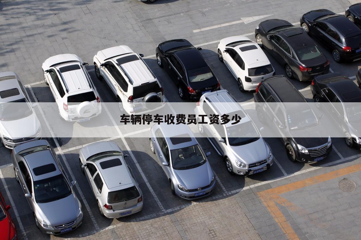 车辆停车收费员工资多少