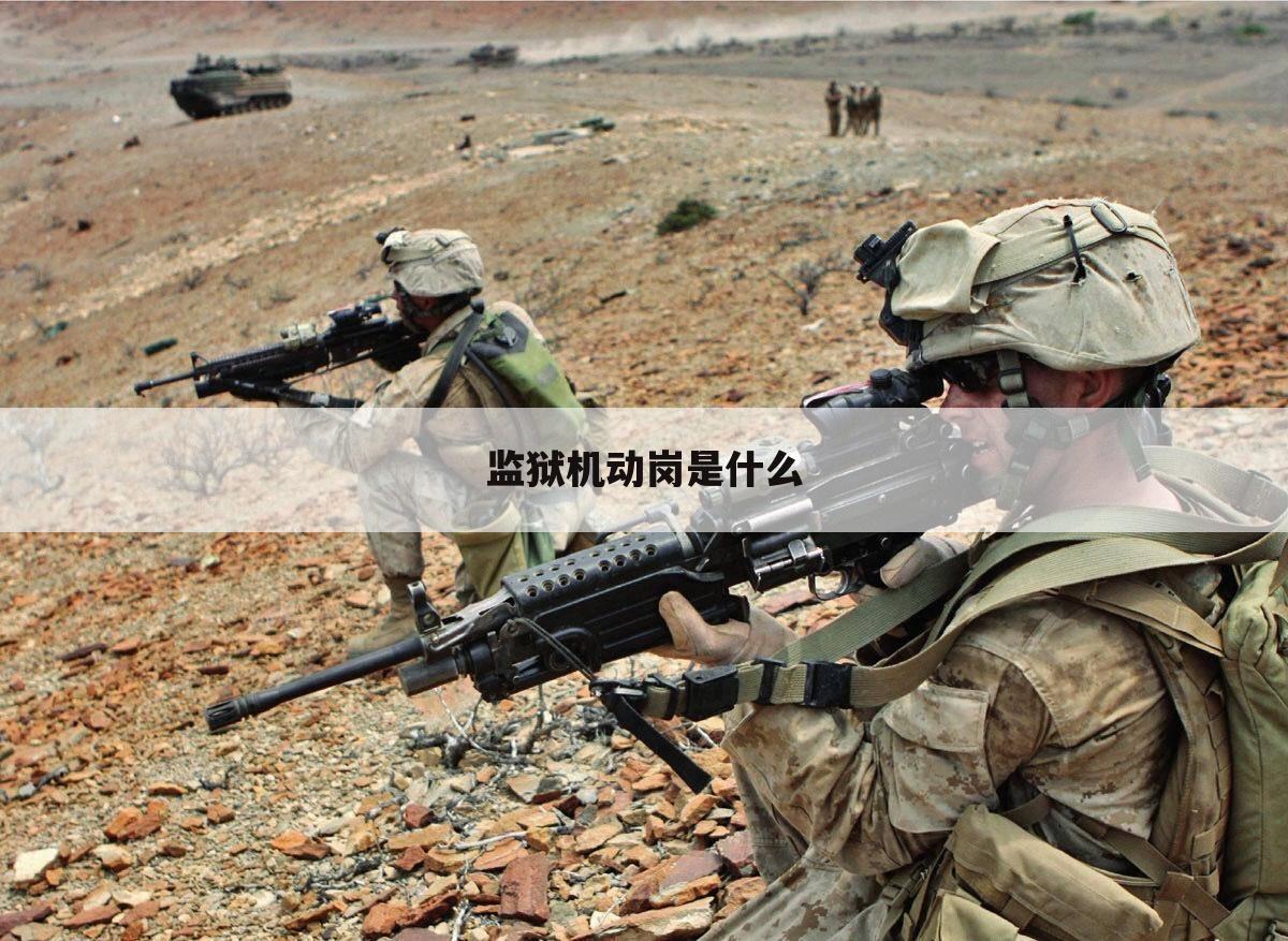 监狱机动岗是什么