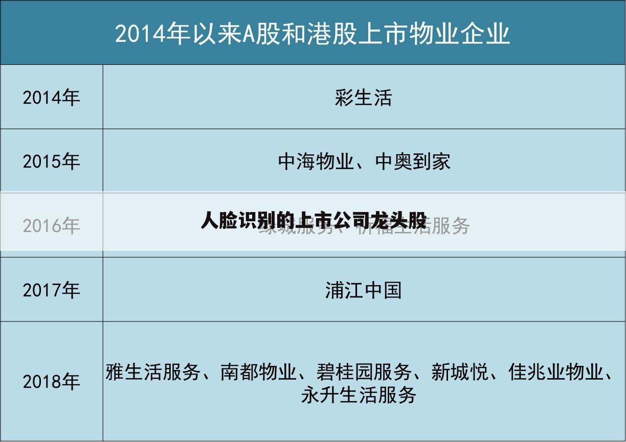 人脸识别的上市公司龙头股