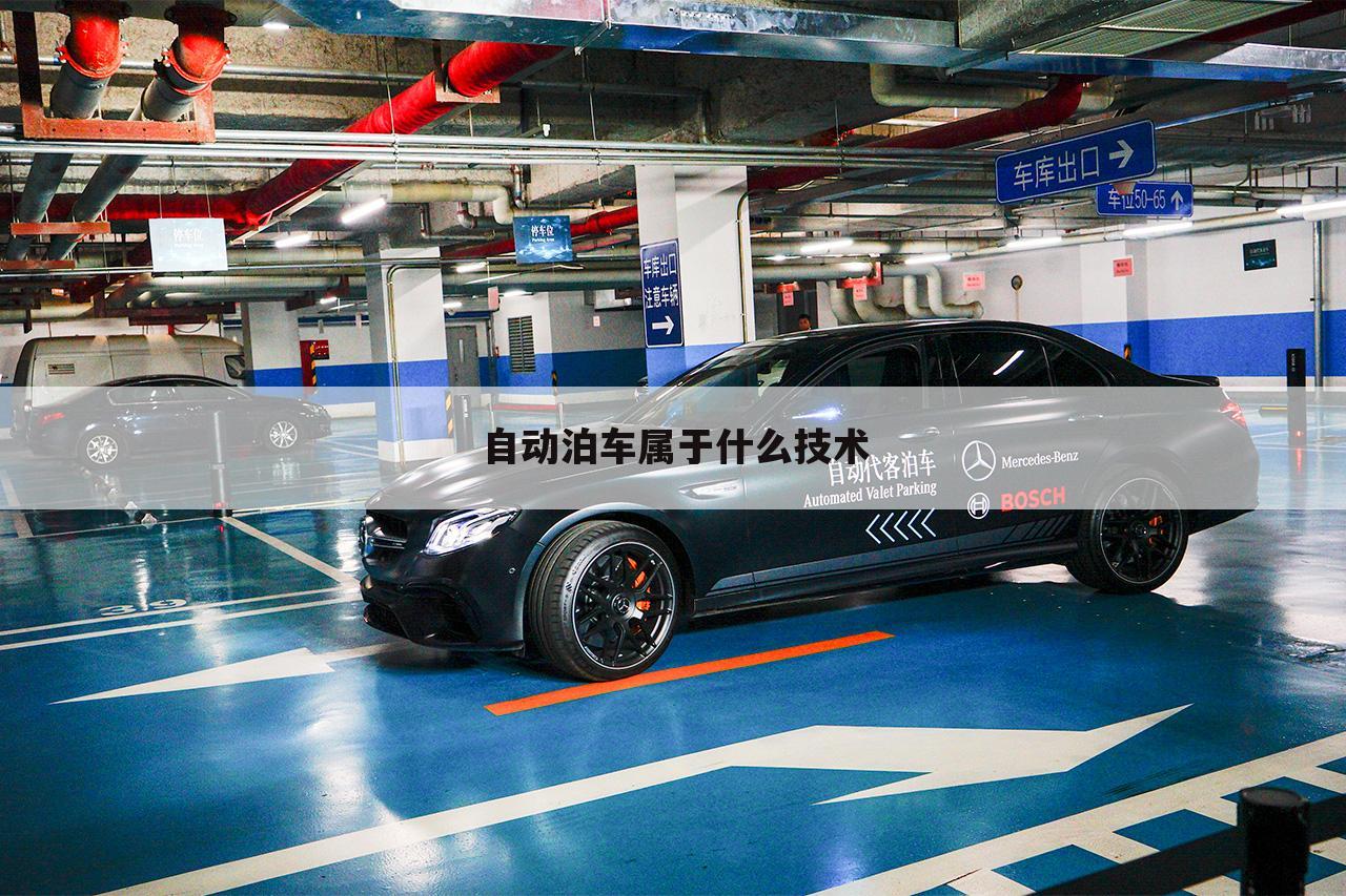 自动泊车属于什么技术