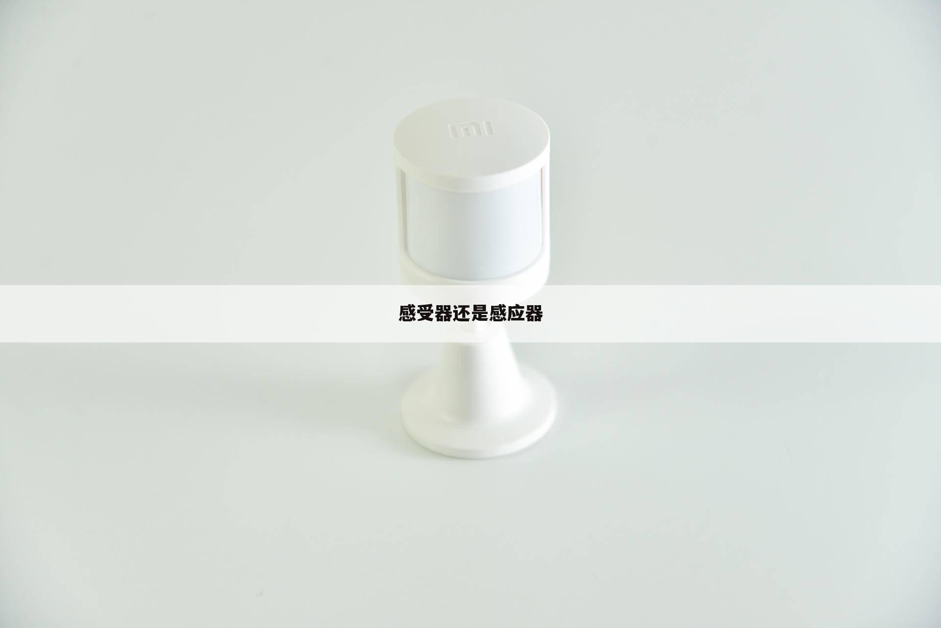 感受器还是感应器