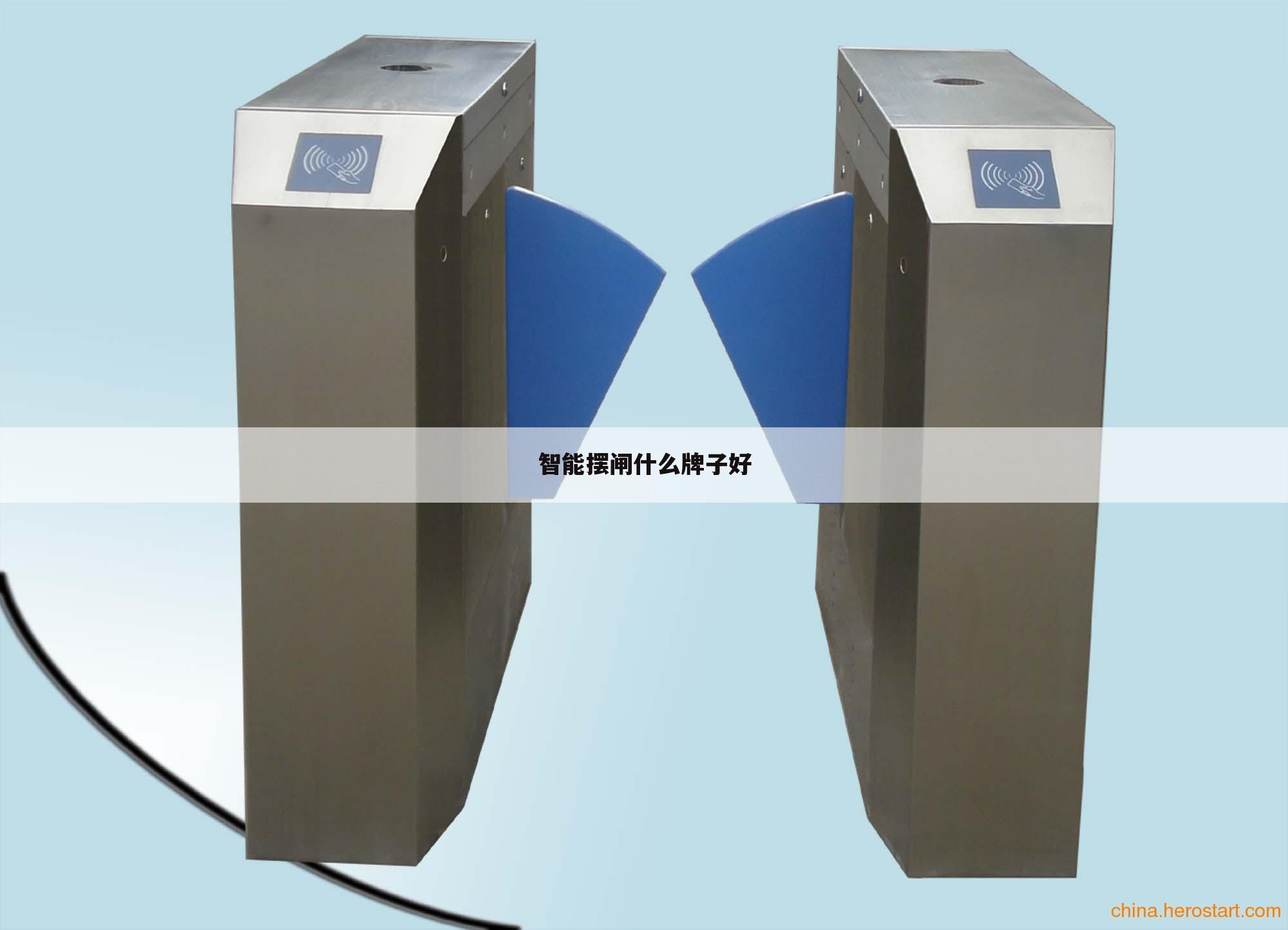 智能摆闸什么牌子好