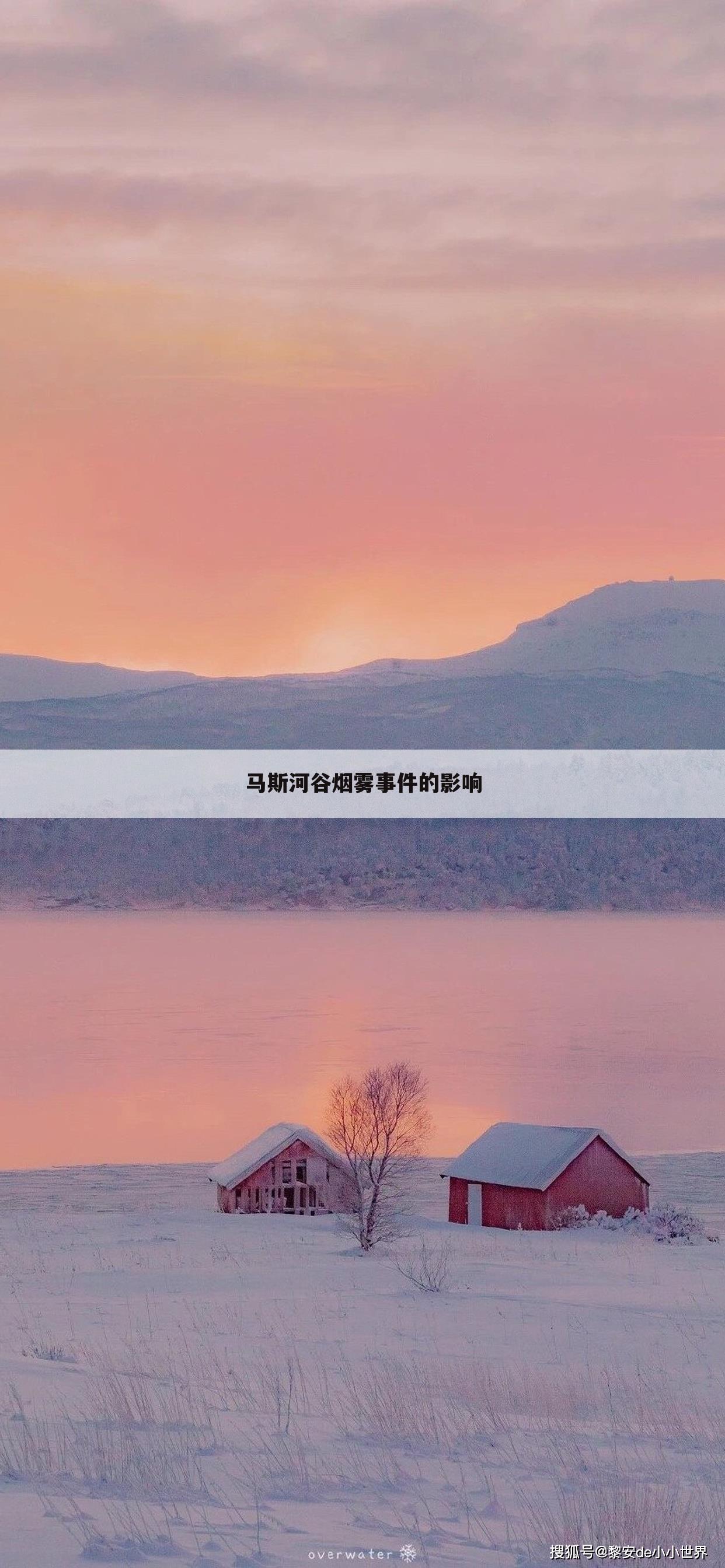马斯河谷烟雾事件的影响