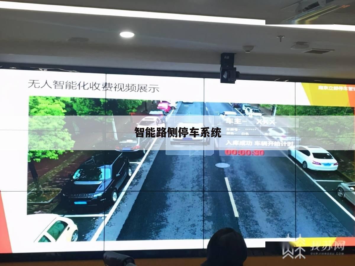 智能路侧停车系统
