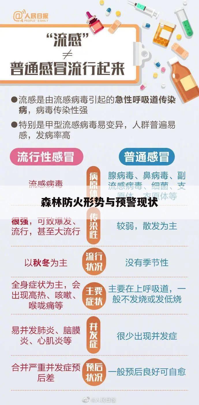 森林防火形势与预警现状