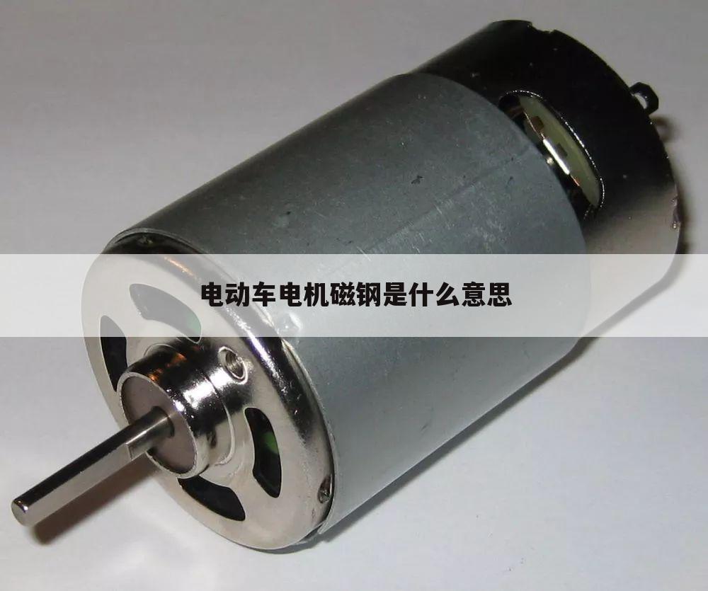 电动车电机磁钢是什么意思