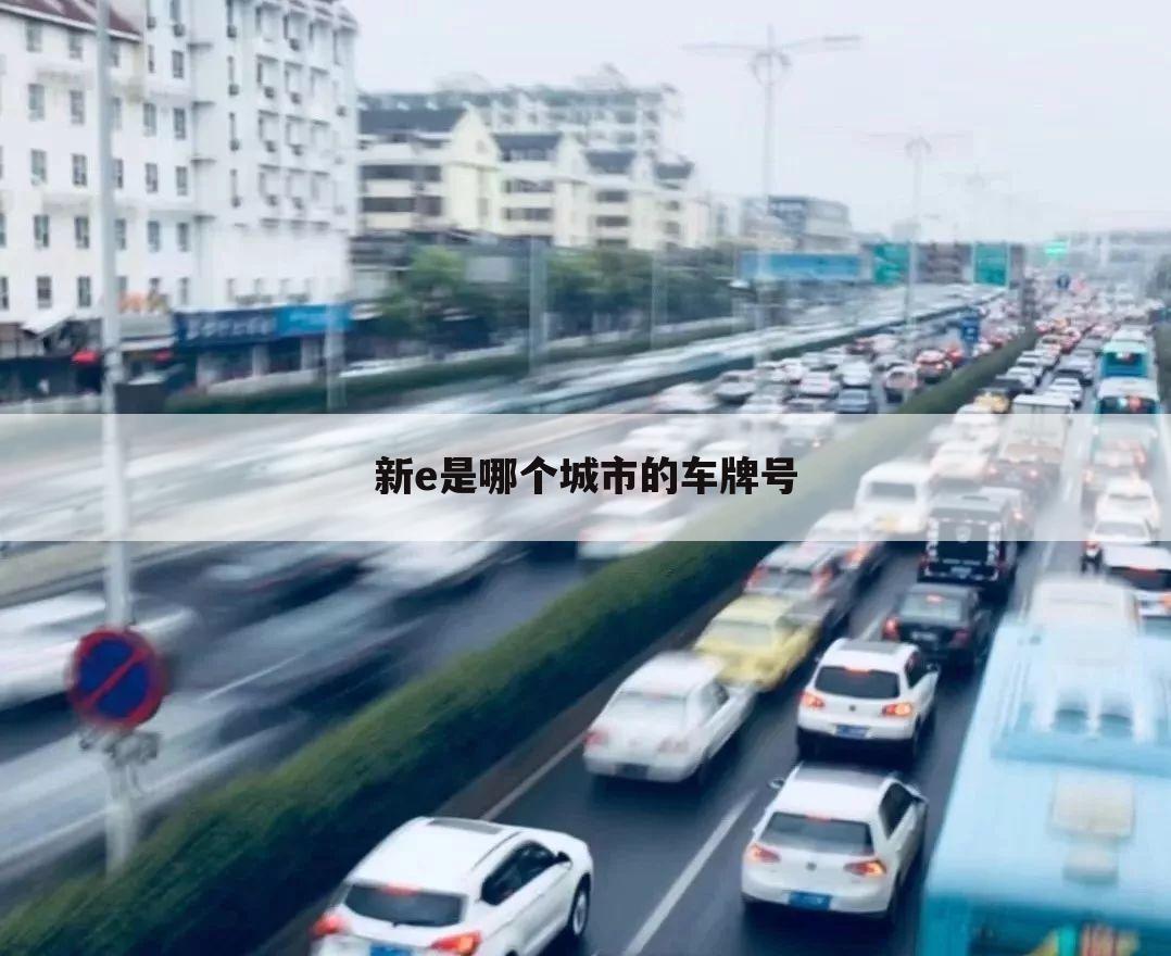 新e是哪个城市的车牌号