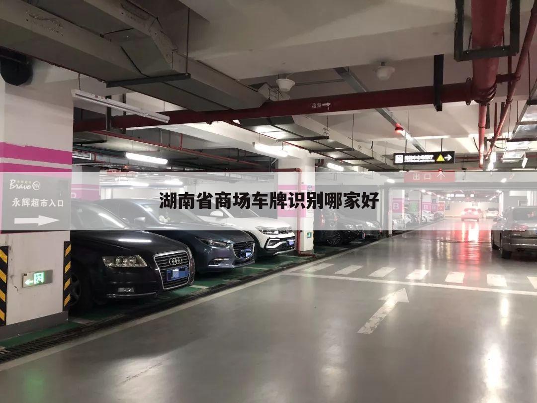 湖南省商场车牌识别哪家好