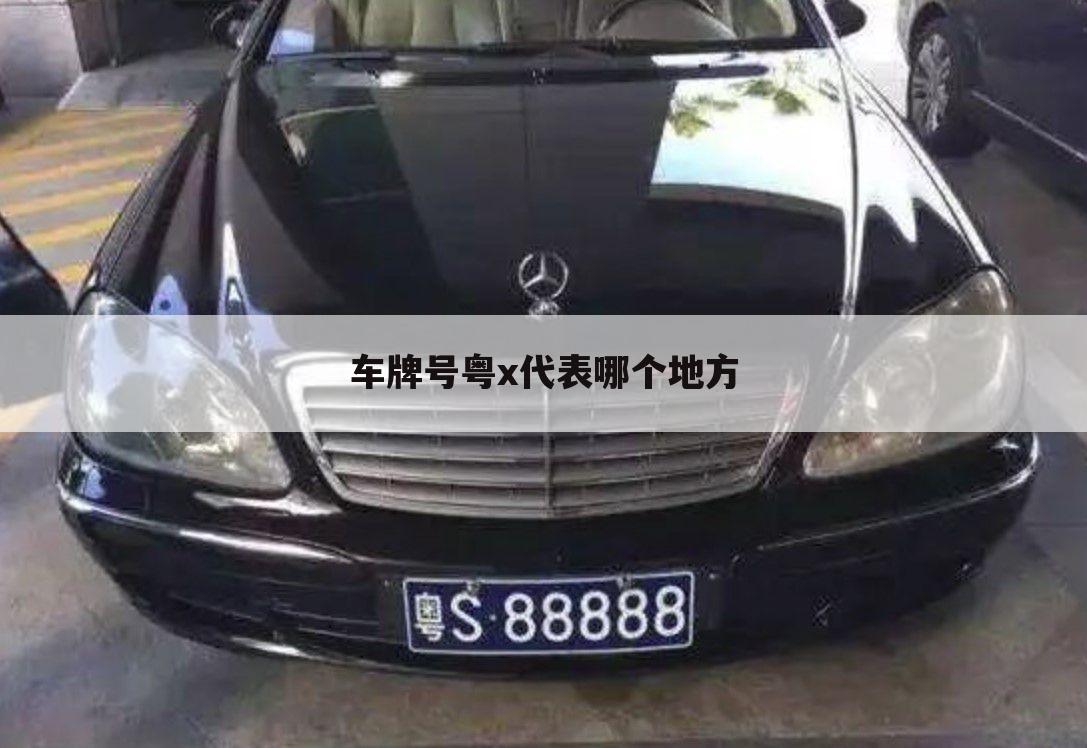 车牌号粤x代表哪个地方