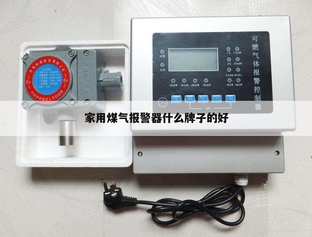 家用煤气报警器什么牌子的好