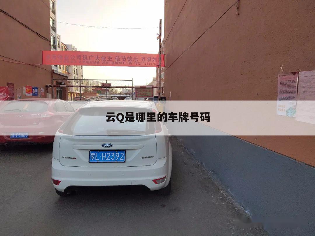 云Q是哪里的车牌号码
