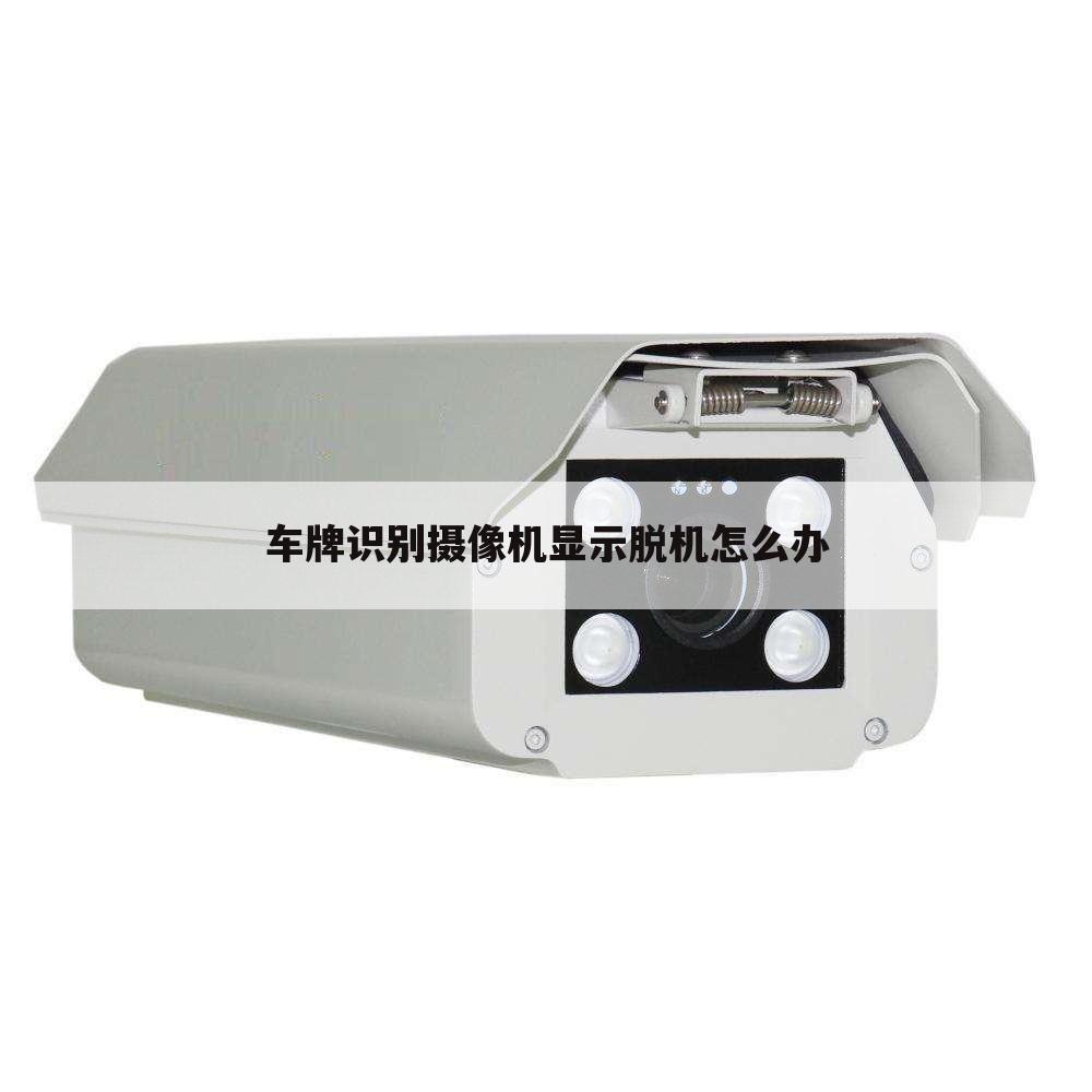 车牌识别摄像机显示脱机怎么办