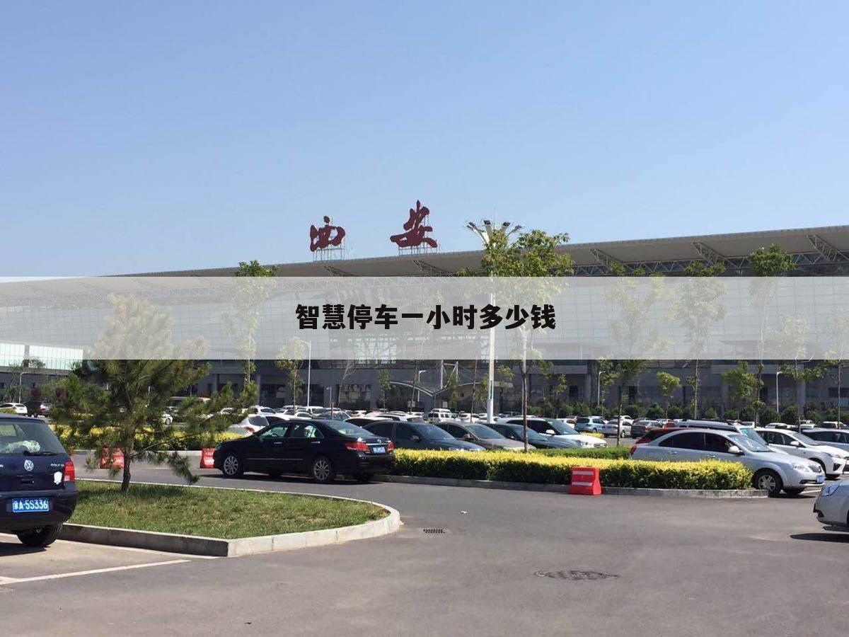 智慧停车一小时多少钱