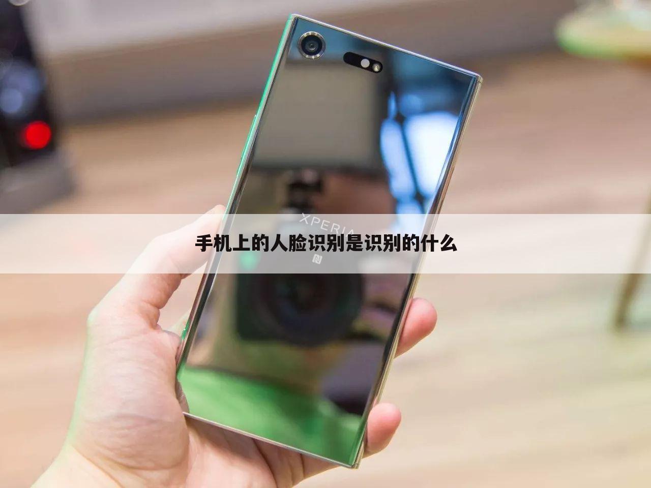 手机上的人脸识别是识别的什么