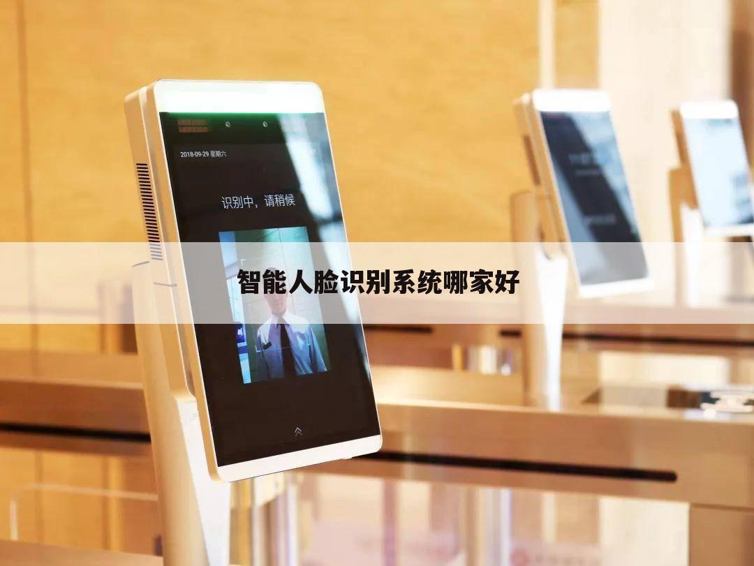智能人脸识别系统哪家好