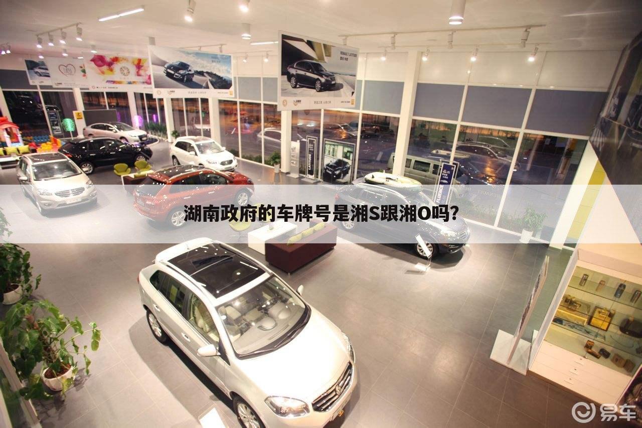 湖南政府的车牌号是湘S跟湘O吗?