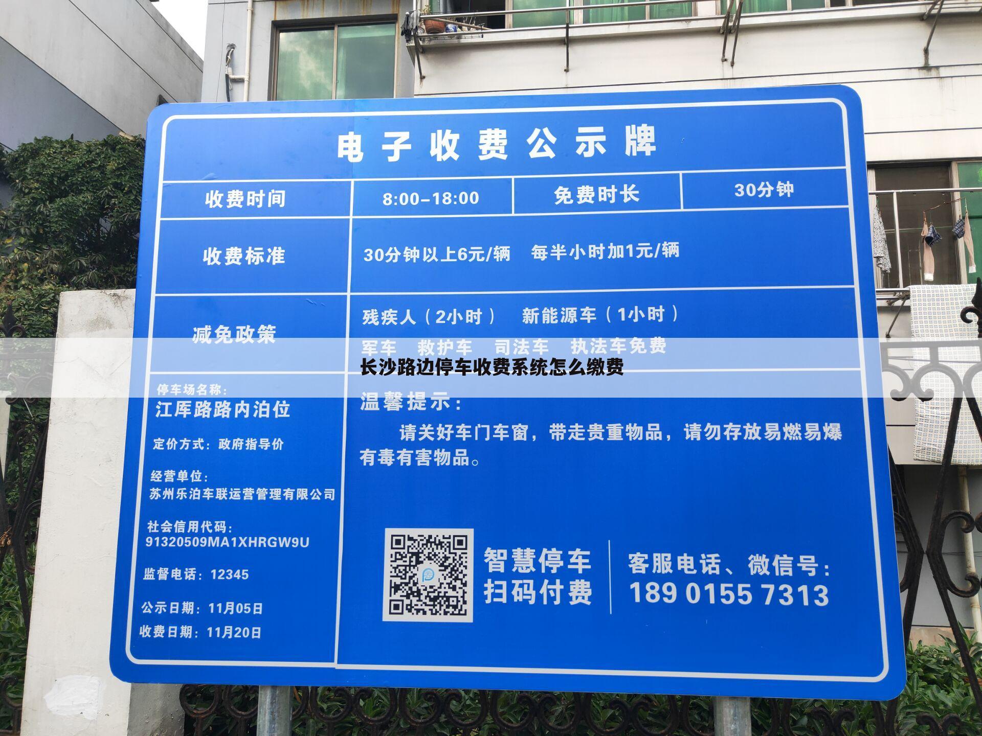 长沙路边停车收费系统怎么缴费