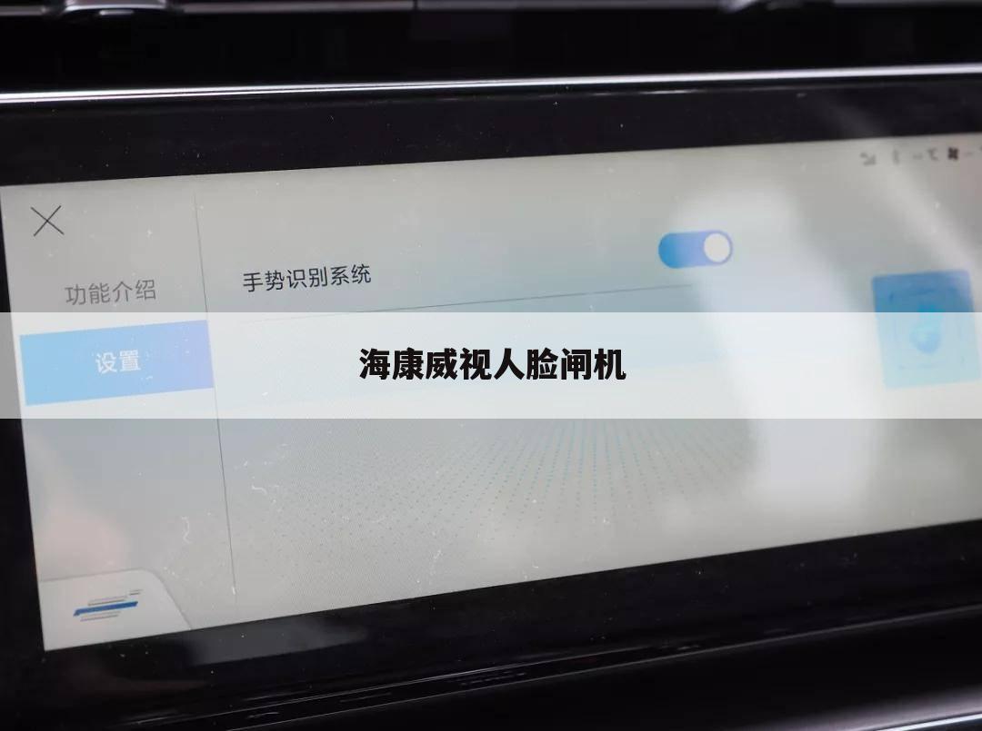 海康威视人脸闸机