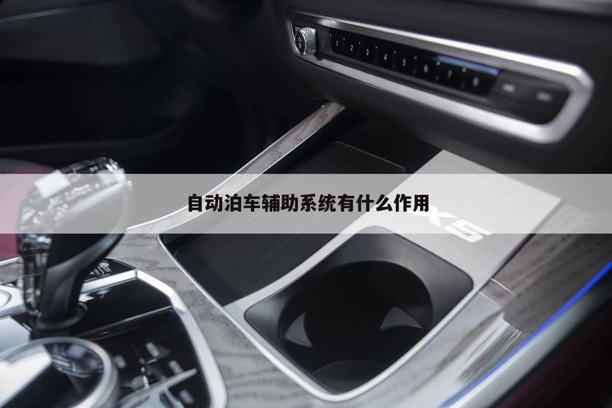 自动泊车辅助系统有什么作用