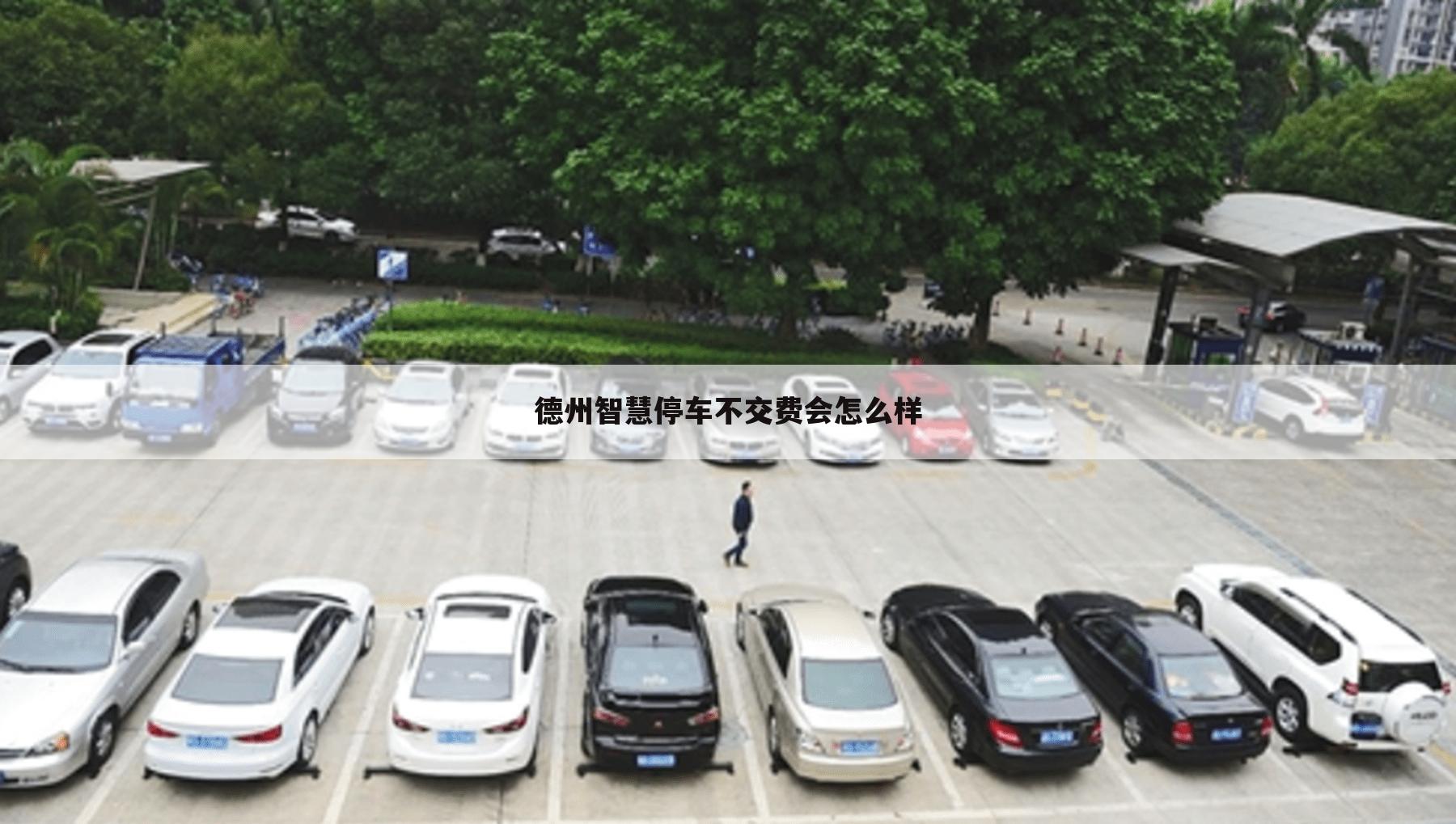 德州智慧停车不交费会怎么样