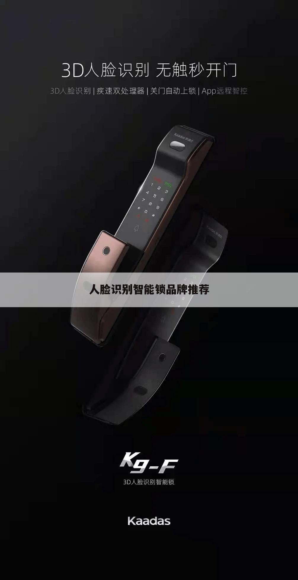 人脸识别智能锁品牌推荐