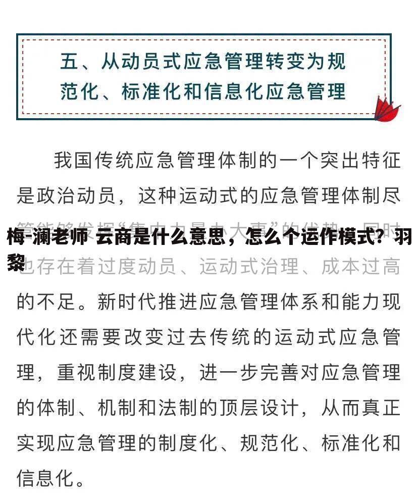 梅-澜老师 云商是什么意思,怎么个运作模式?羽黎